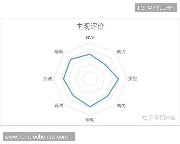 杭州羽毛球队在杯赛中的技术表现分析与点评