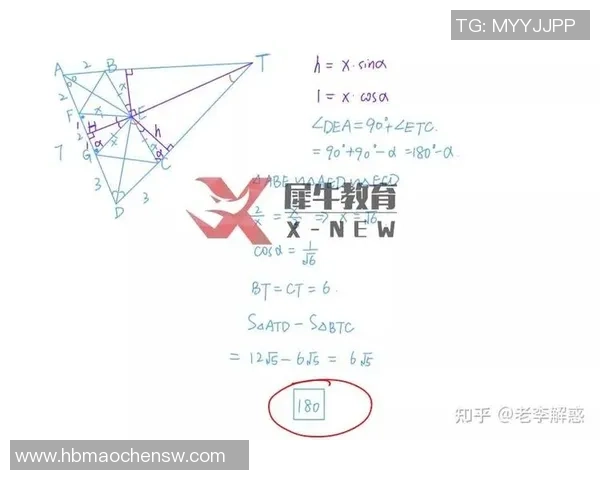 独家解析西安排球队的团队协作与其他球队的对比分析 独家解析西安排球队的团队协作与其他球队的对比分析
