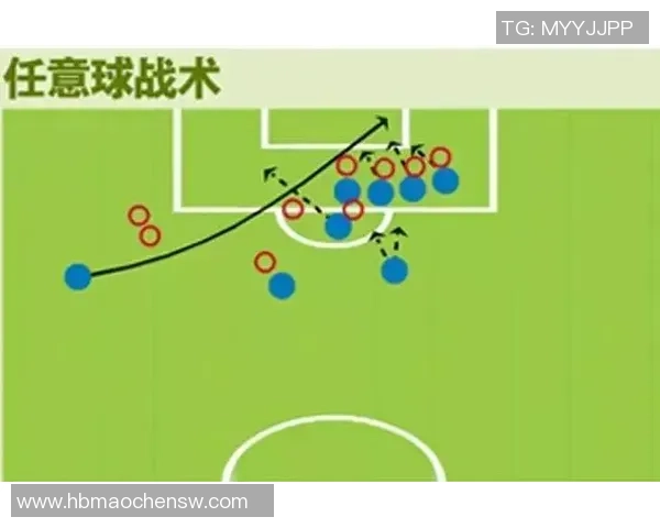 独家分析：杭州乒乓球队的耐力对比